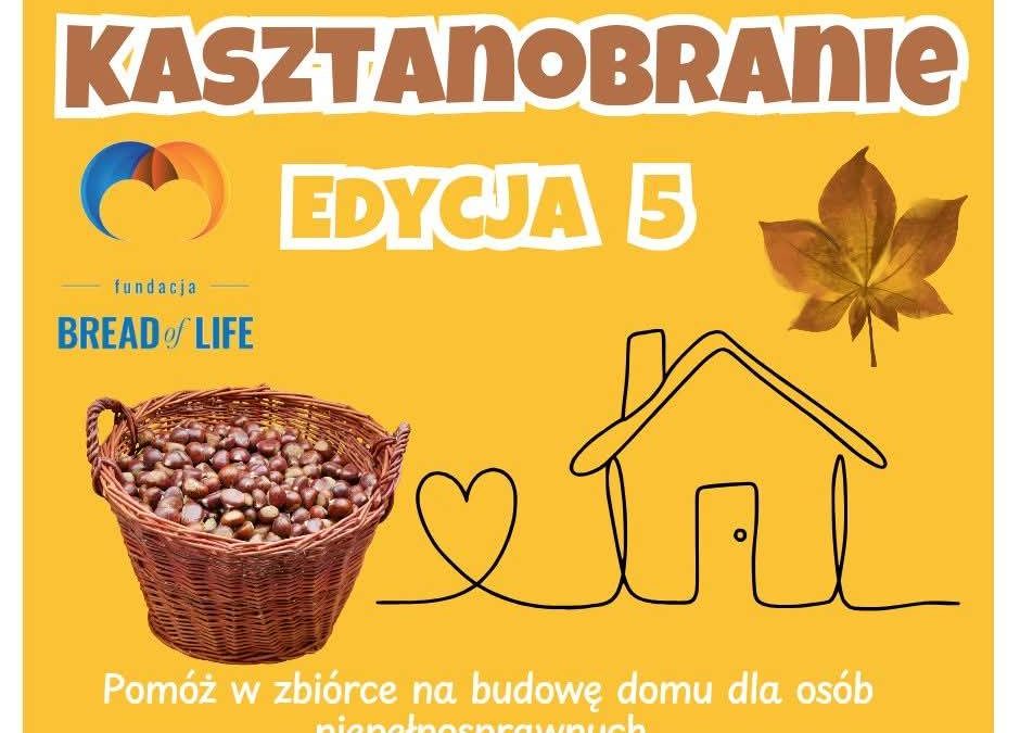 Zbiórka kasztanów.