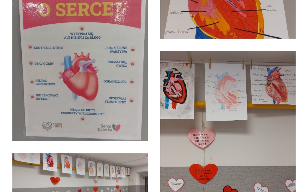 Serce – silnik ludzkiego ciała!